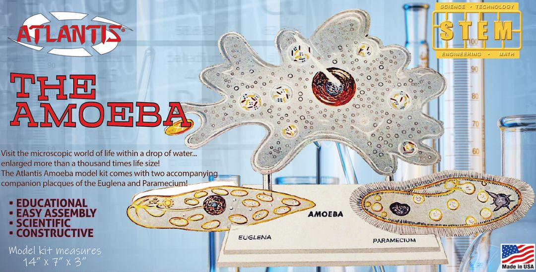 Atlantis Amoeba Single Cell Model Kit STEM - Click Image to Close