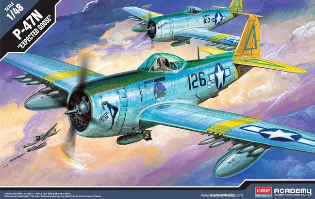 Academy 1/48 P-47N Special - Click Image to Close