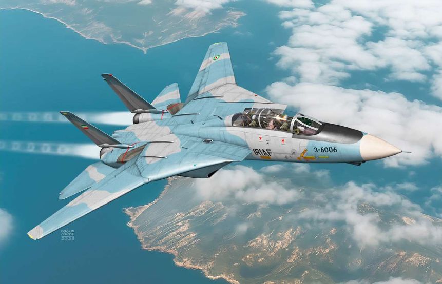 Academy 1/72 F-14A "IRIAF“ - New Design