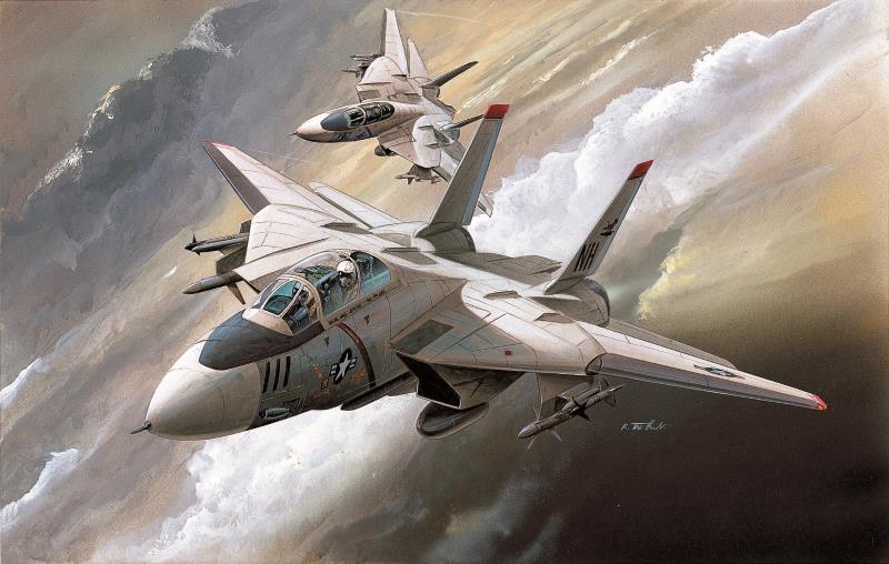 Academy 1/144 F-14A - Click Image to Close