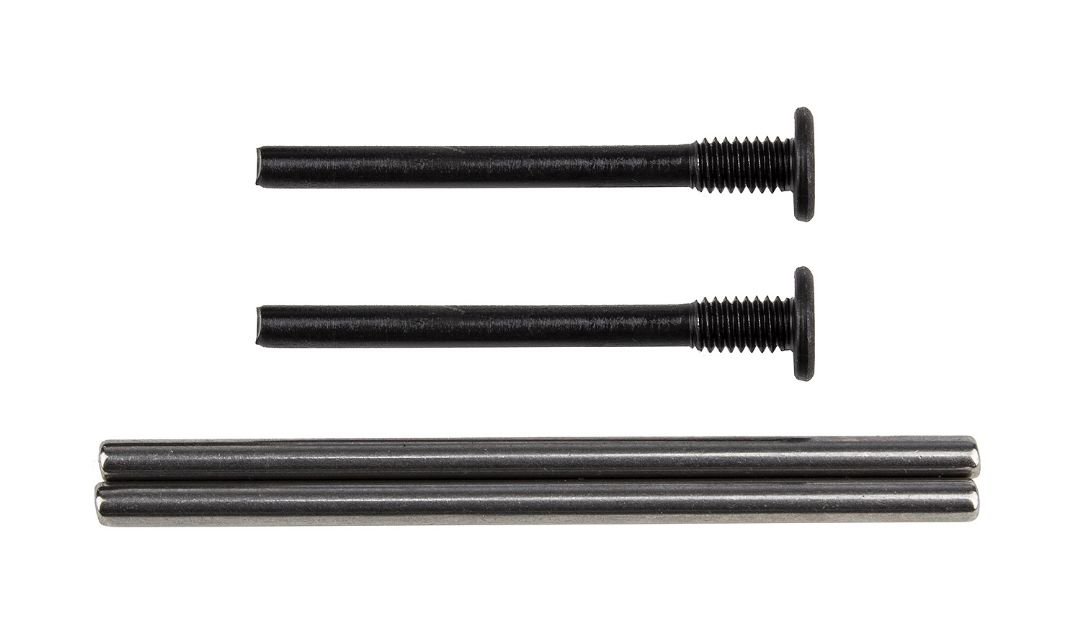 Team Associated Apex2 Hinge Pins