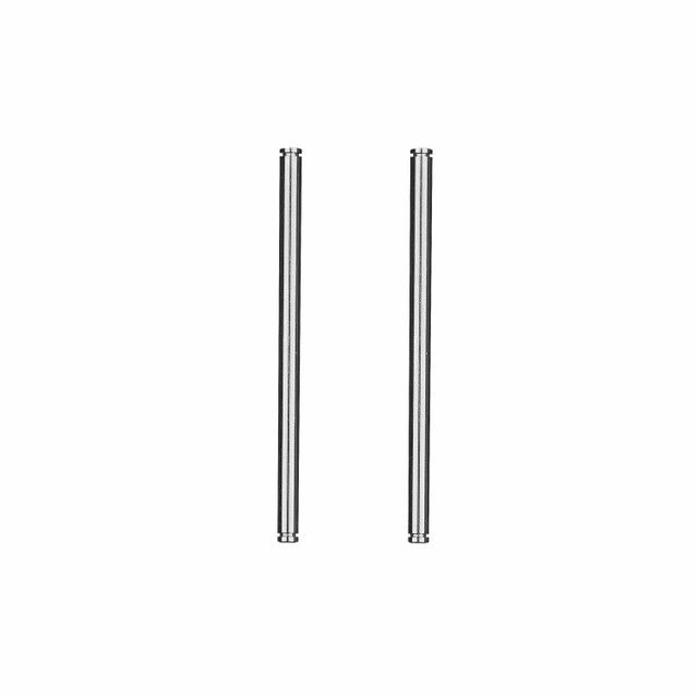 Team Associated 1/10 RC10 '91 Stealth Car Rear Inner Hinge Pins