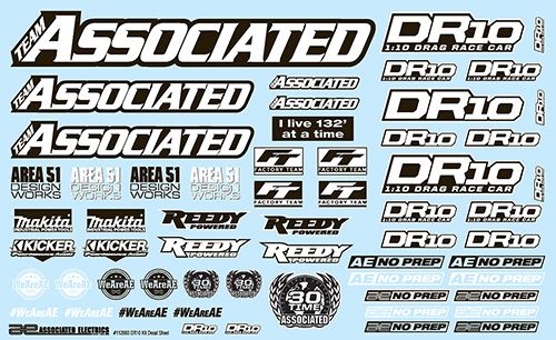 Team Associated DR10 Decal Sheet