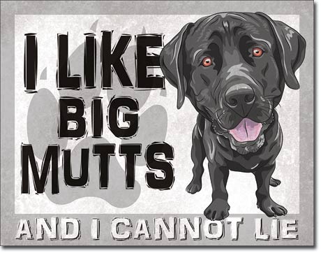 I Like Big Mutts And I Cannot Lie - Rectangular Tin Sign
