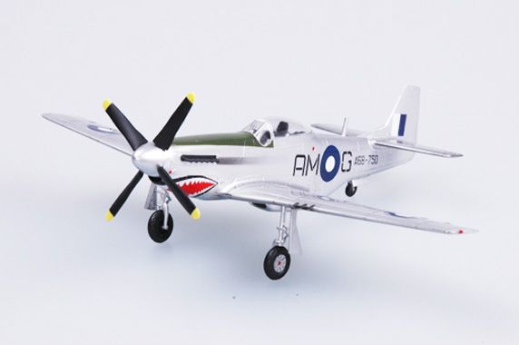 Easy Model 1/72 P51D RAAF A68-170 in 1999