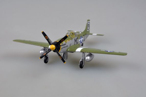 Easy Model 1/48 P-51D 79FS