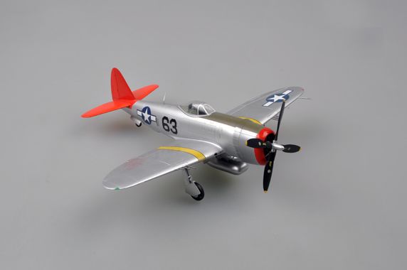 Easy Model 1/48 P-47D "RAT HUNTER" - Click Image to Close