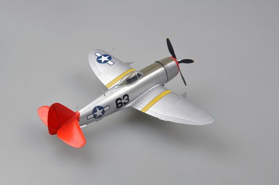 Easy Model 1/48 P-47D "RAT HUNTER"