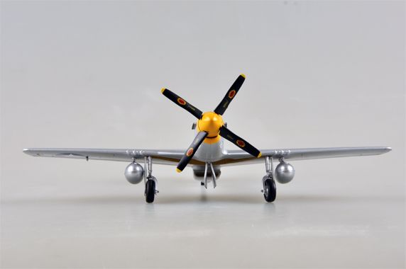 Easy Model 1/48 P-51D G.T EAGLESTON