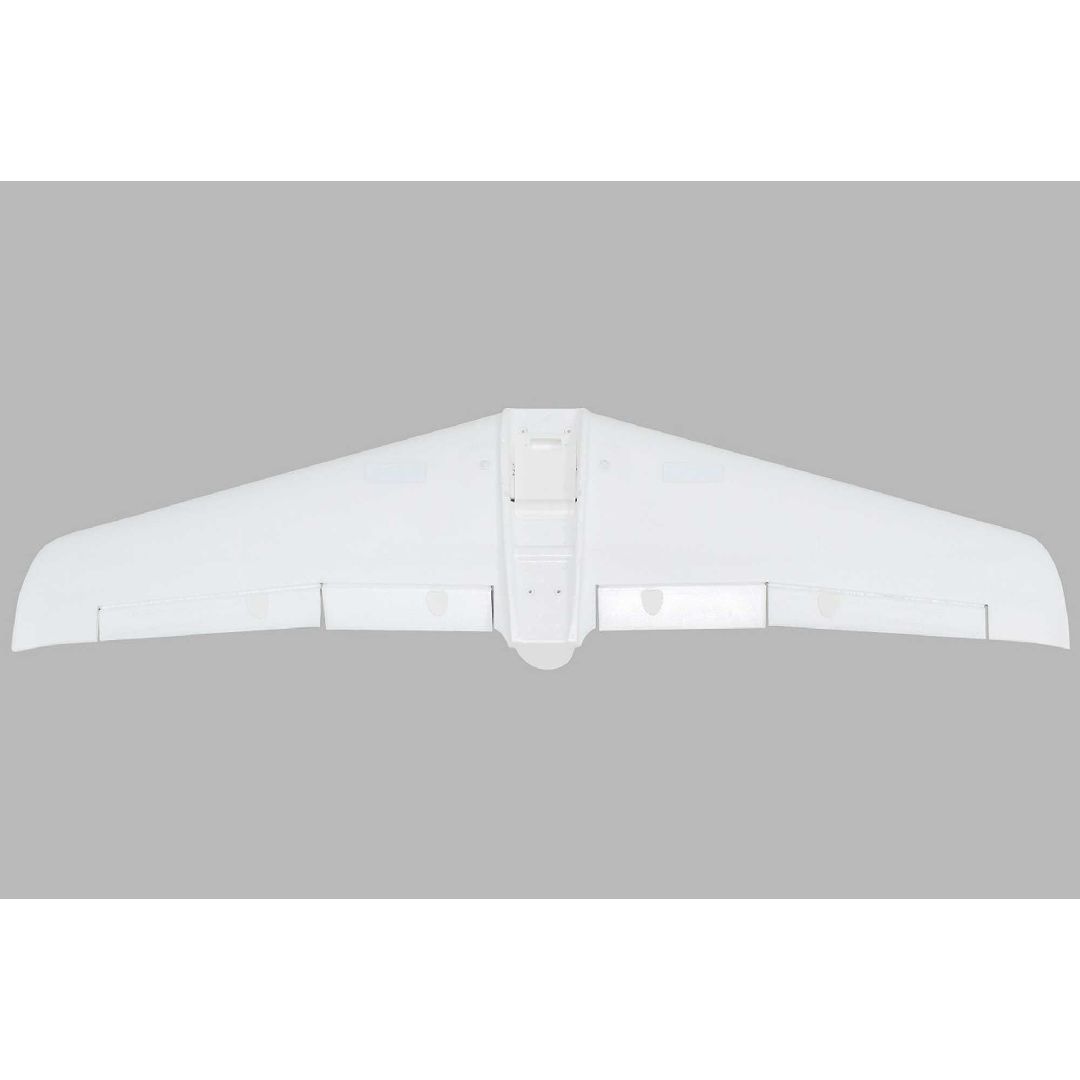 E-Flite Painted Wing: V1200
