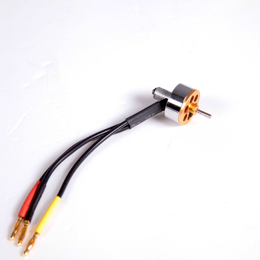FMS Motor: 1811 KV3900