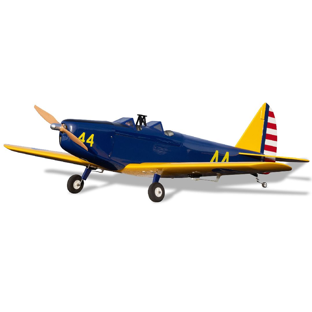 Hanger 9 Fun Scale PT-19 PNP