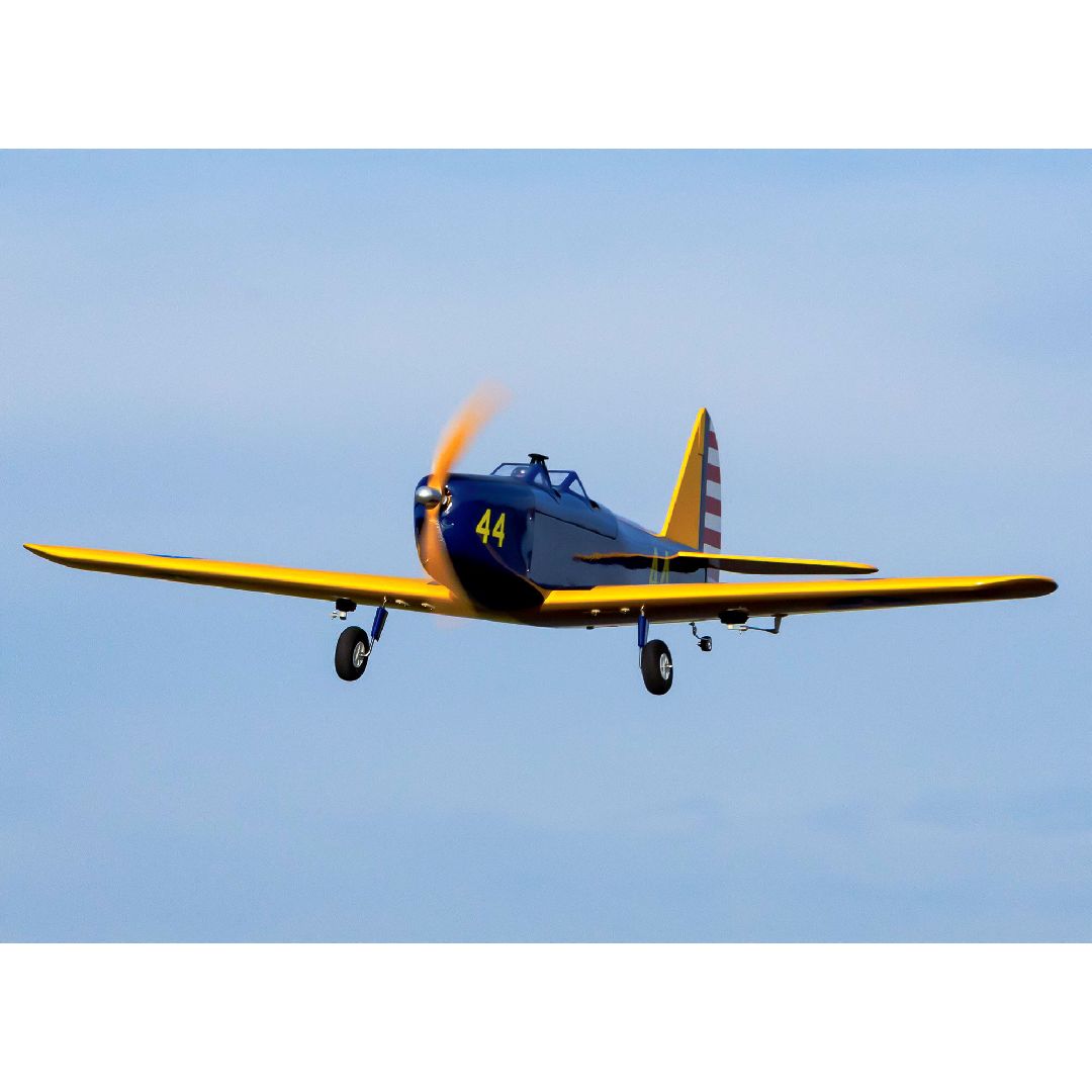 Hanger 9 Fun Scale PT-19 PNP