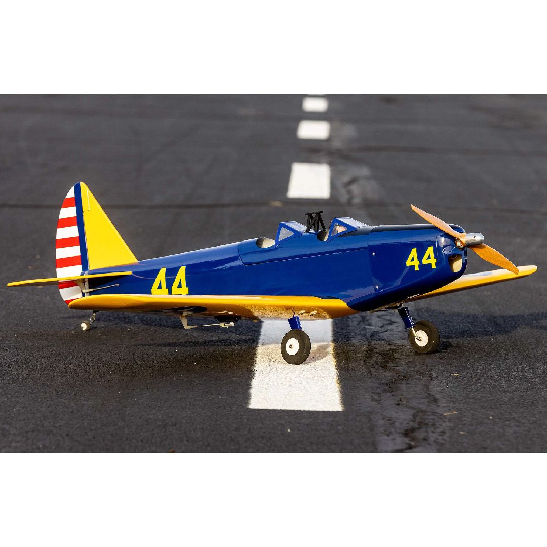 Hanger 9 Fun Scale PT-19 PNP