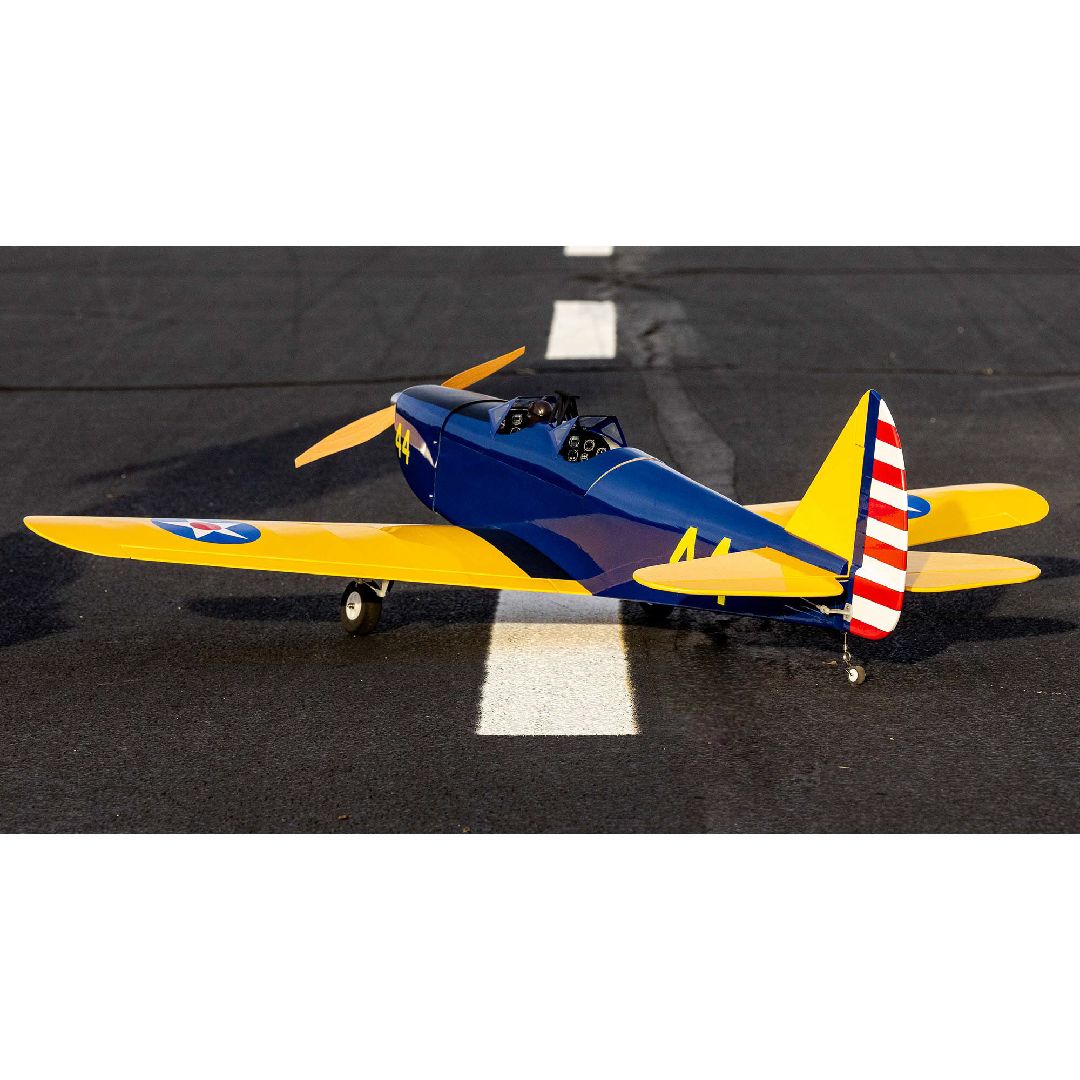 Hanger 9 Fun Scale PT-19 PNP