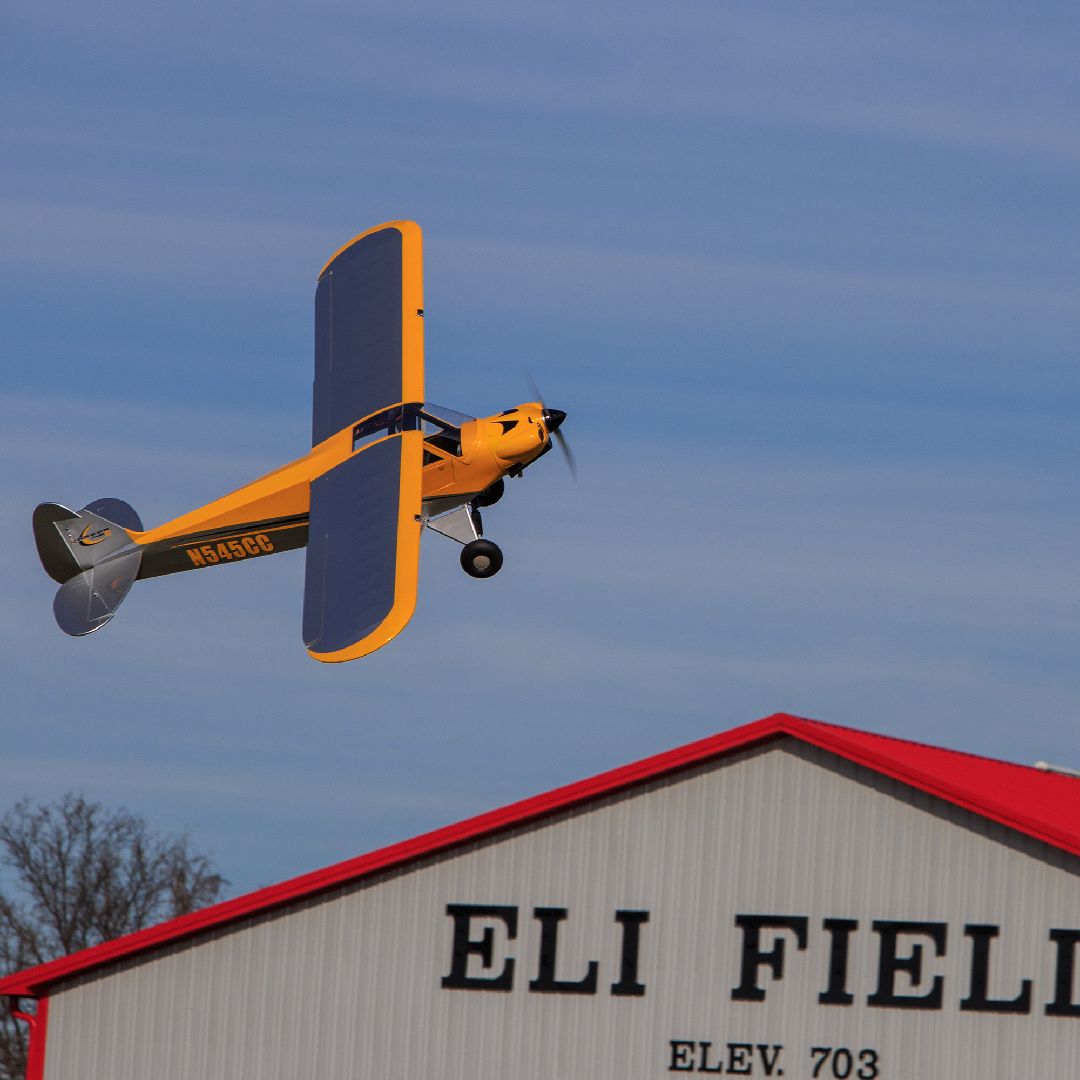 Hanger 9 Carbon Cub 15cc ARF