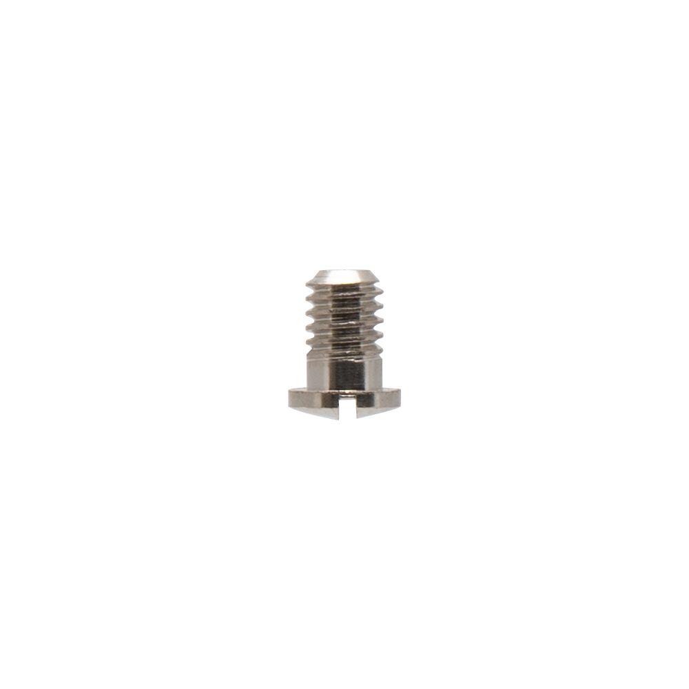 Iwata Main Body Ring Screw for NEO for Iwata: TRN2/TRN1