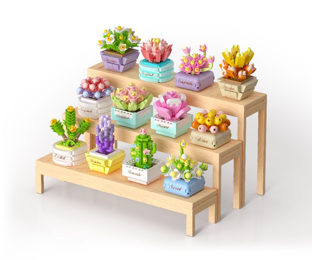 KOCO Succulent potted plants - 12 models in 1 display