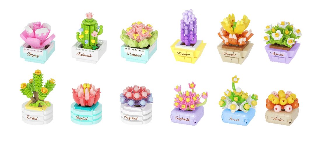 KOCO Succulent potted plants - 12 models in 1 display