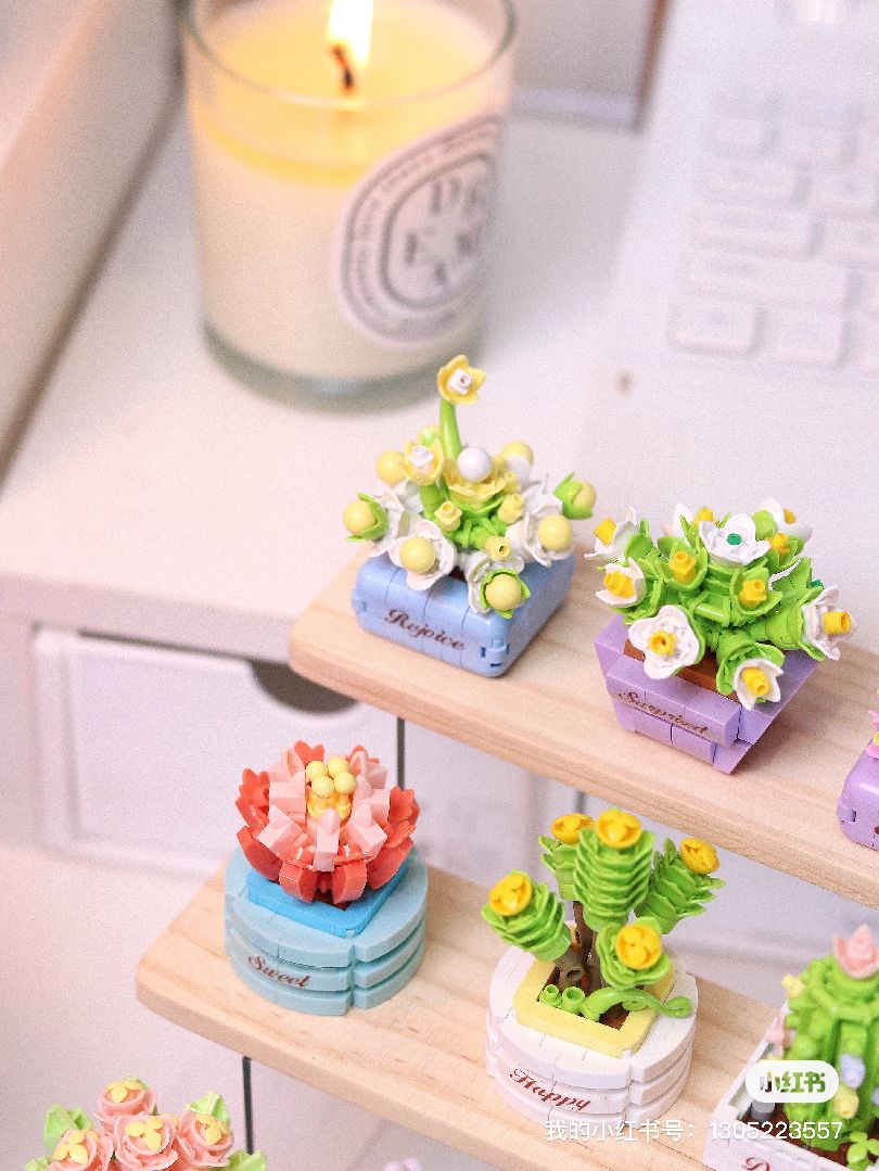 KOCO Succulent potted plants - 12 models in 1 display