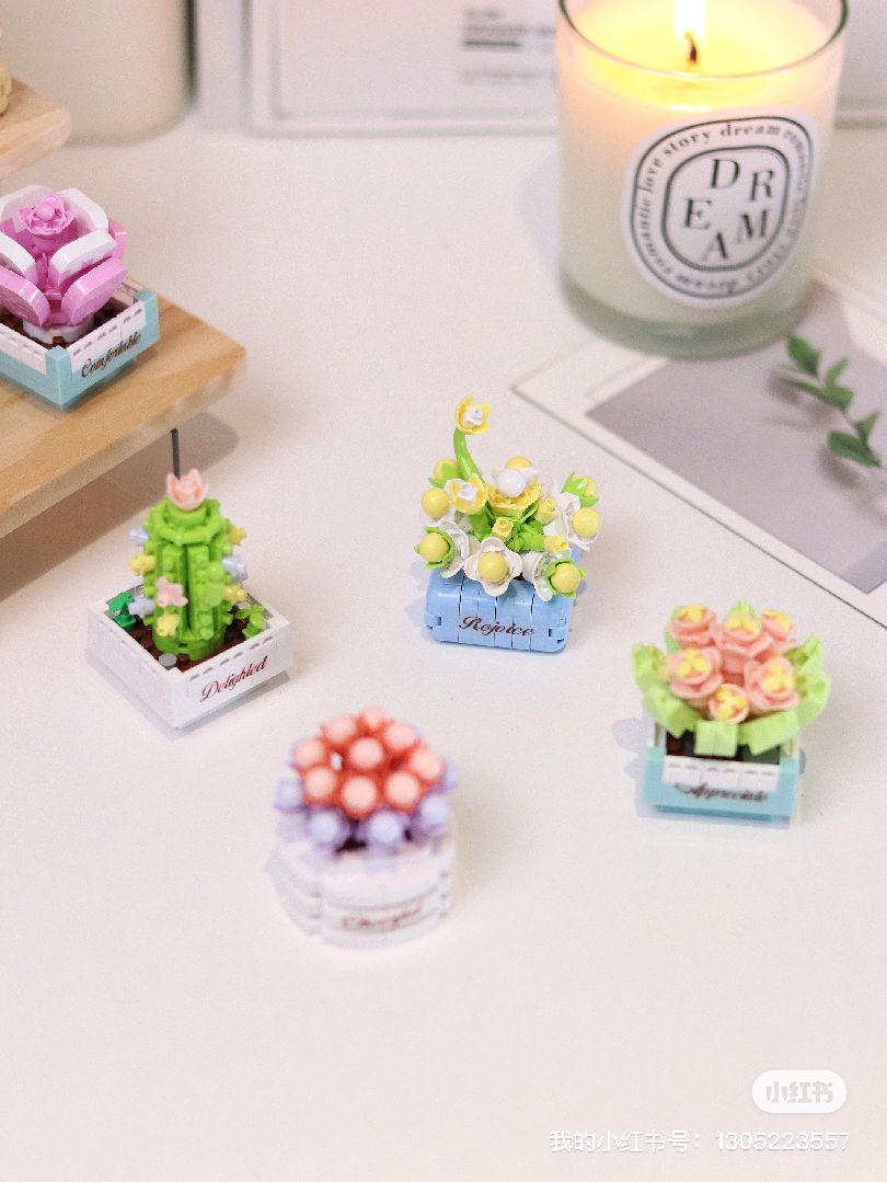 KOCO Succulent potted plants - 12 models in 1 display