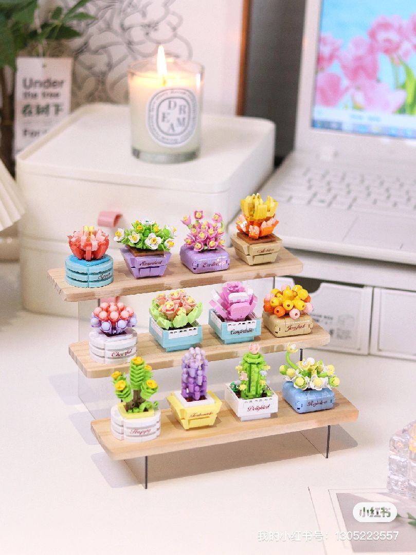 KOCO Succulent potted plants - 12 models in 1 display