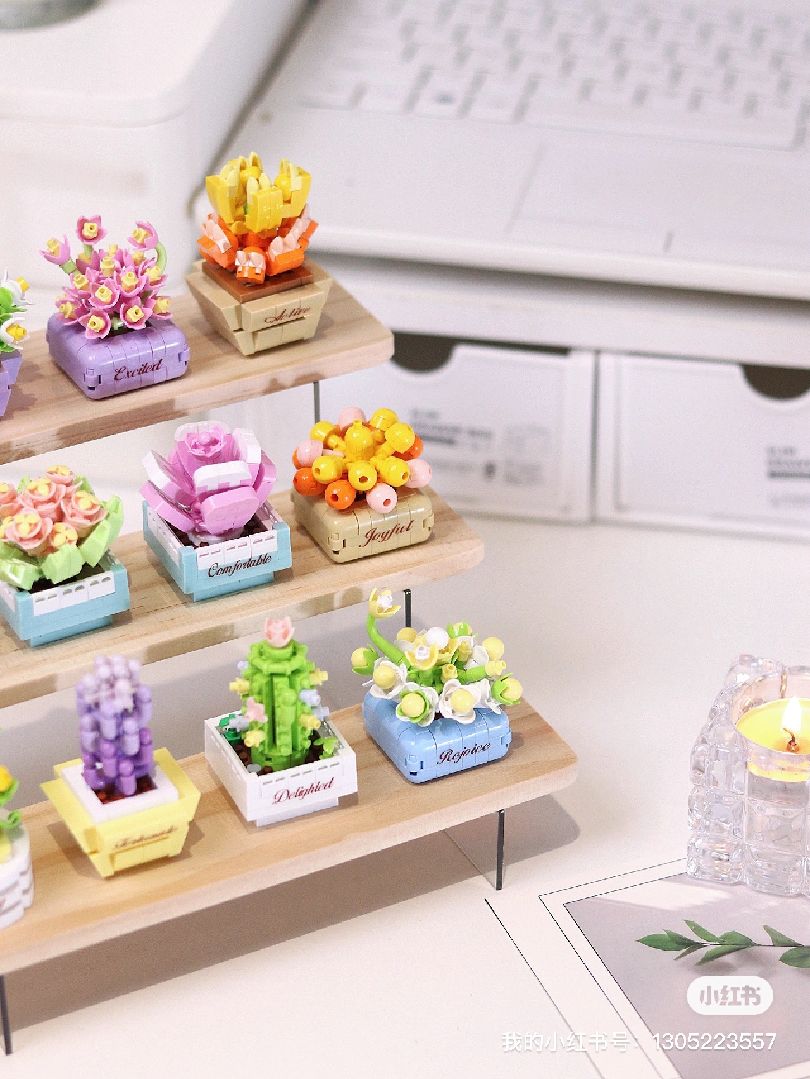 KOCO Succulent potted plants - 12 models in 1 display