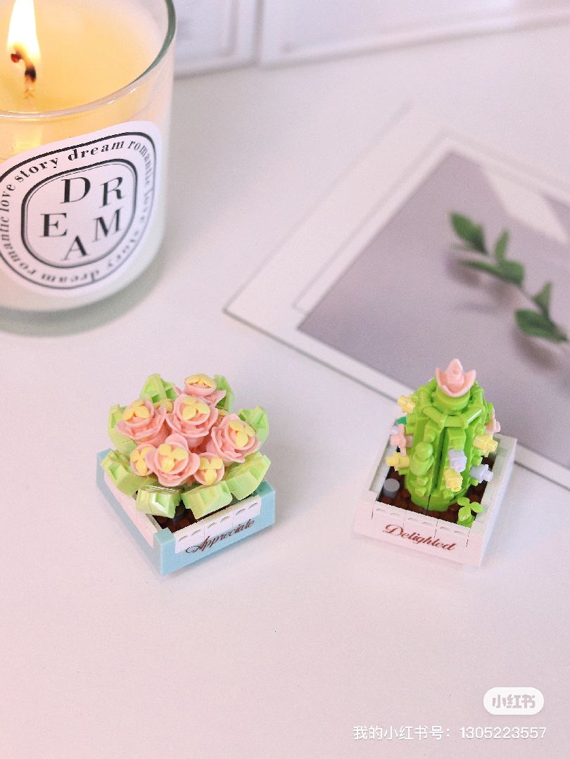 KOCO Succulent potted plants - 12 models in 1 display