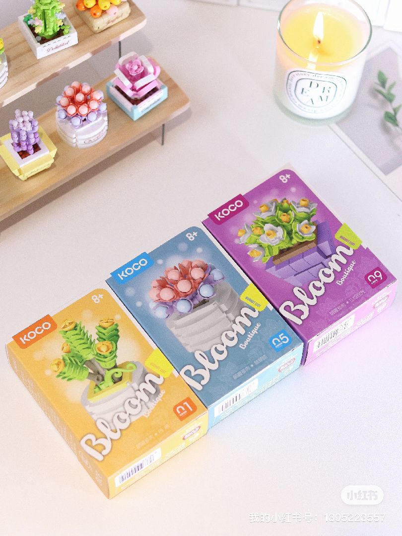 KOCO Succulent potted plants - 12 models in 1 display