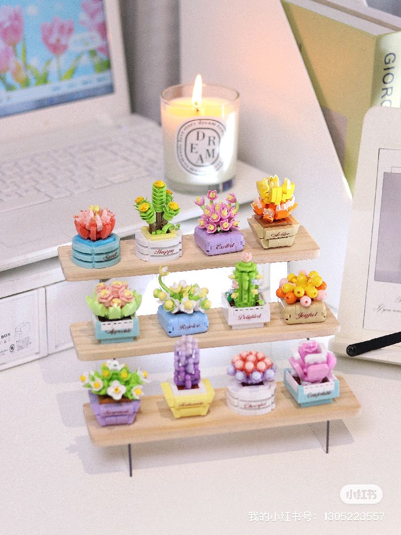 KOCO Succulent potted plants - 12 models in 1 display