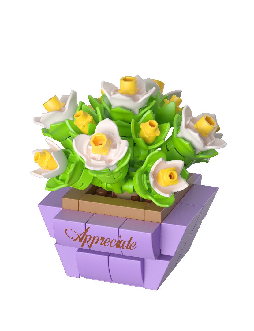 KOCO Succulent potted plants - 12 models in 1 display