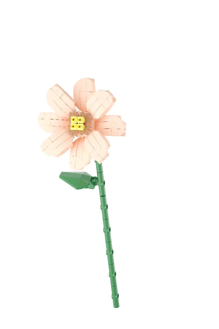 KOCO Flower Series - 12 models in 1 counter-top display