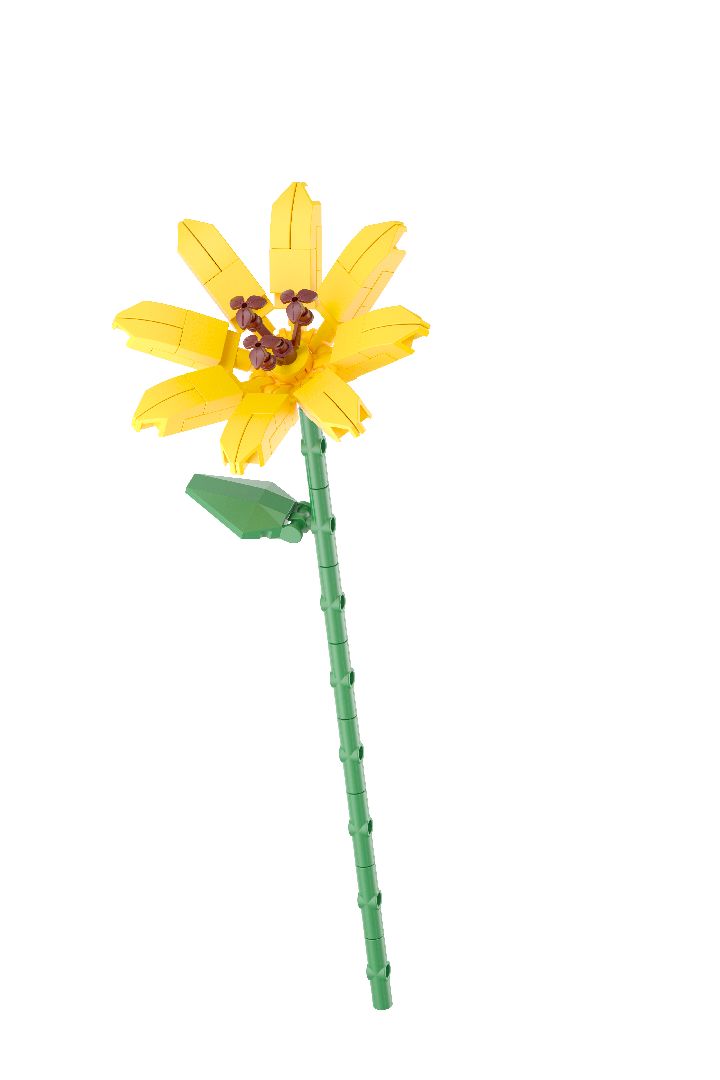 KOCO Flower Series - 12 models in 1 counter-top display