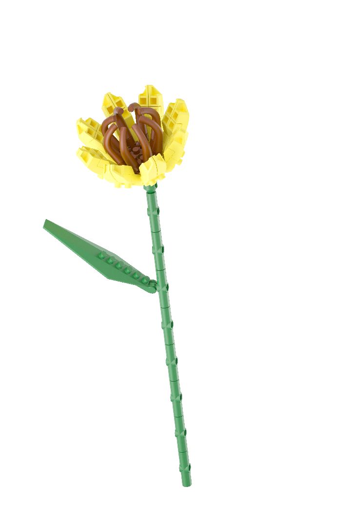 KOCO Flower Series - 12 models in 1 counter-top display