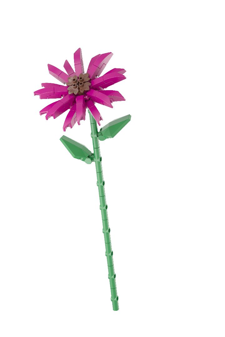 KOCO Flower Series - 12 models in 1 counter-top display