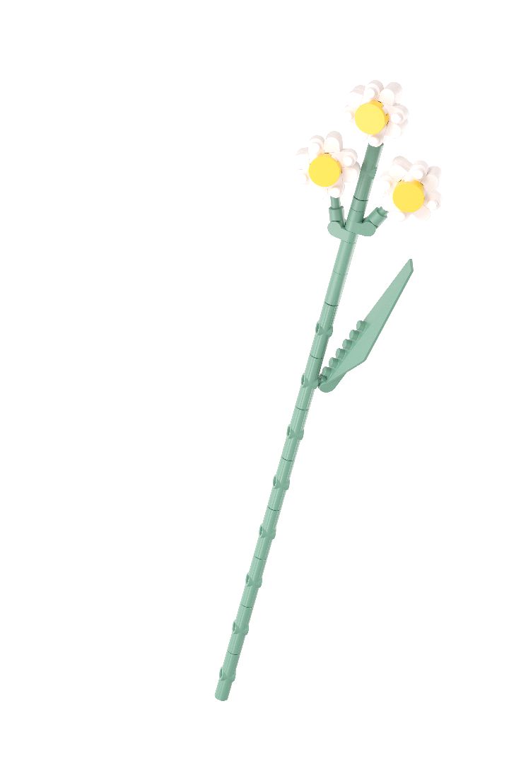 KOCO Flower Series - 12 models in 1 counter-top display