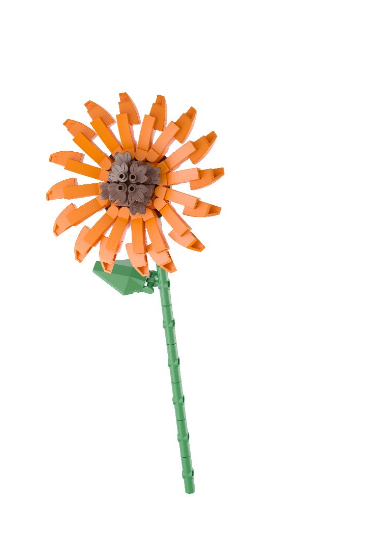 KOCO Flower Series - 12 models in 1 counter-top display