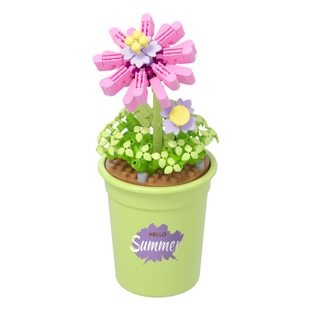KOCO Flower Series - 6 models in 1 counter-top display