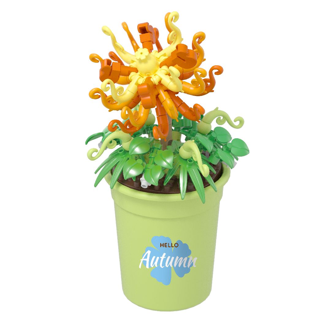 KOCO Flower Series - 6 models in 1 counter-top display