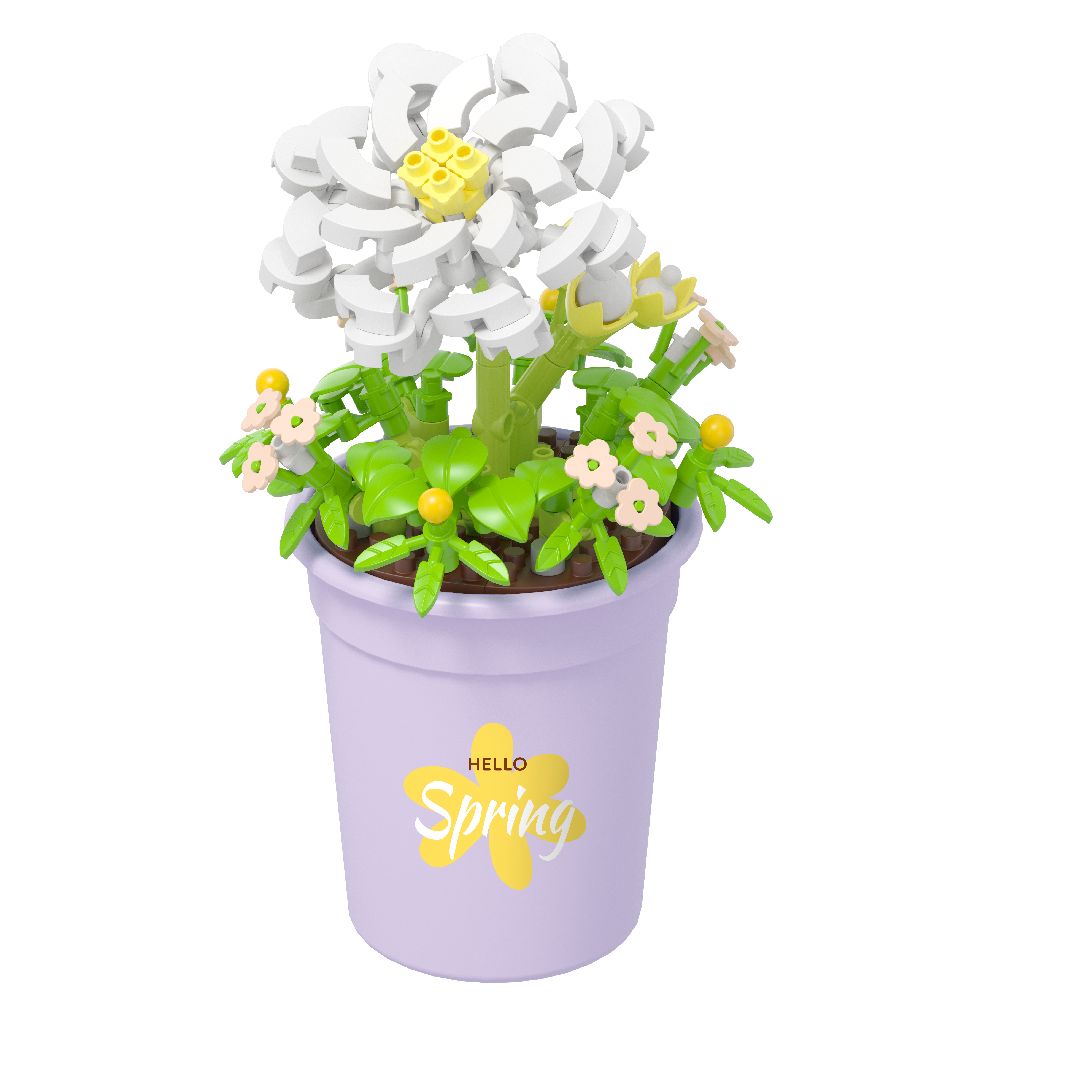 KOCO Flower Series - 6 models in 1 counter-top display