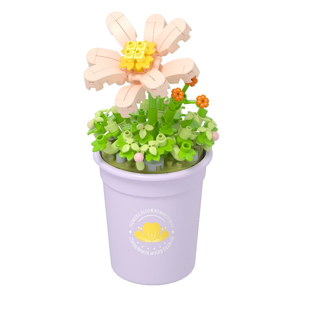 KOCO Flower Series - 6 models in 1 counter-top display