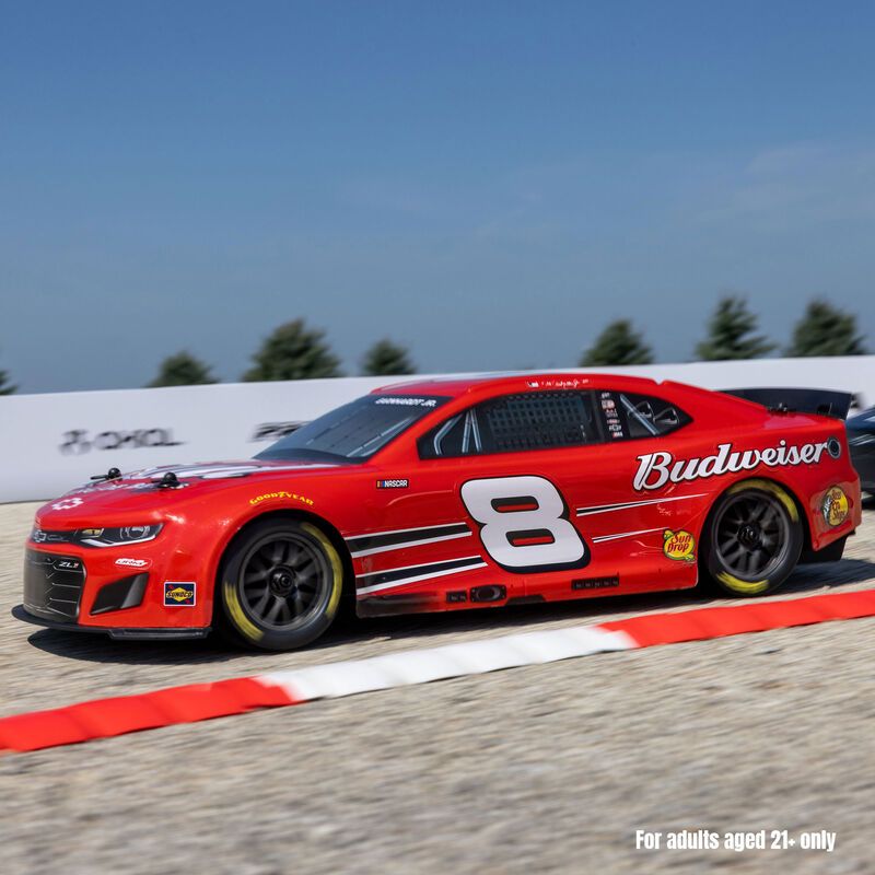 Losi 1/12 NASCAR Dale Earnhardt Jr. No. 8 Budweiser - Red