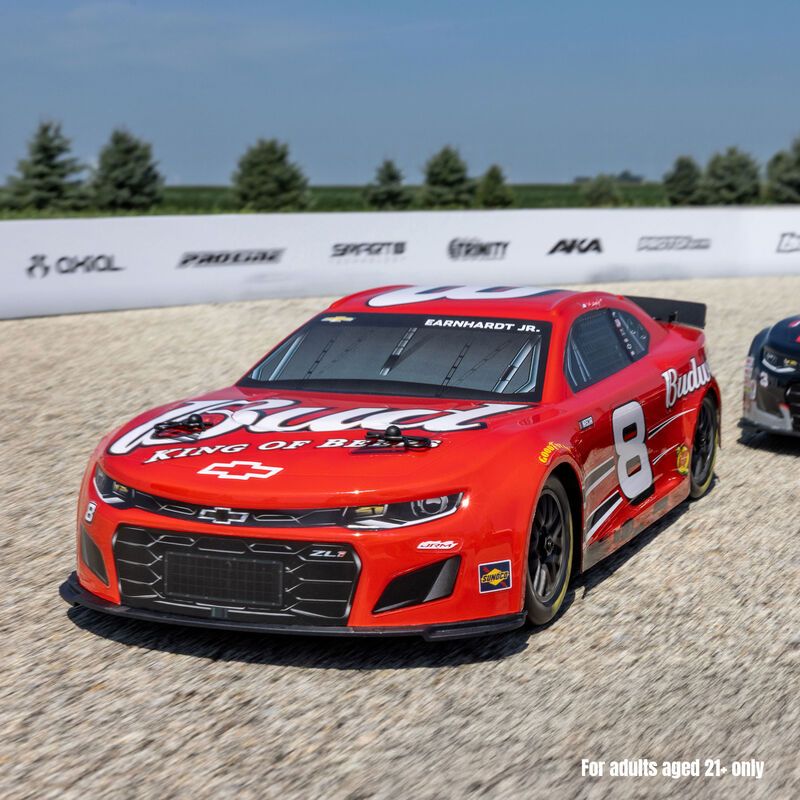 Losi 1/12 NASCAR Dale Earnhardt Jr. No. 8 Budweiser - Red