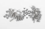 RC4WD Replacement Silver Screws for Militant 2.2 Rear Beadlock Wheels