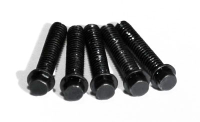 RC4WD Miniature Scale Hex Bolts (M2 x 10mm) (Black) - Click Image to Close