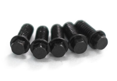 RC4WD Miniature Scale Hex Bolts (M2 x 5mm) (Black) - Click Image to Close