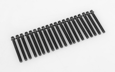 RC4WD Miniature Scale Hex Bolts (M2 x 16mm) (Black) - Click Image to Close