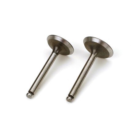 Saito Engines Valve (In/Out Pair): AG, AH, BN