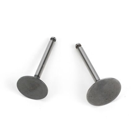 Saito Engines Valve (In&Out) Pair: FG-36: AK,BP