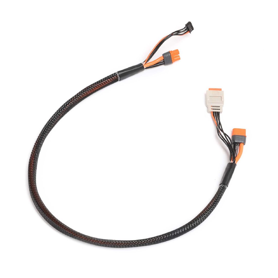 Spektrum Charge lead w/Bal Ext. 24 inch IC3, 2-4S